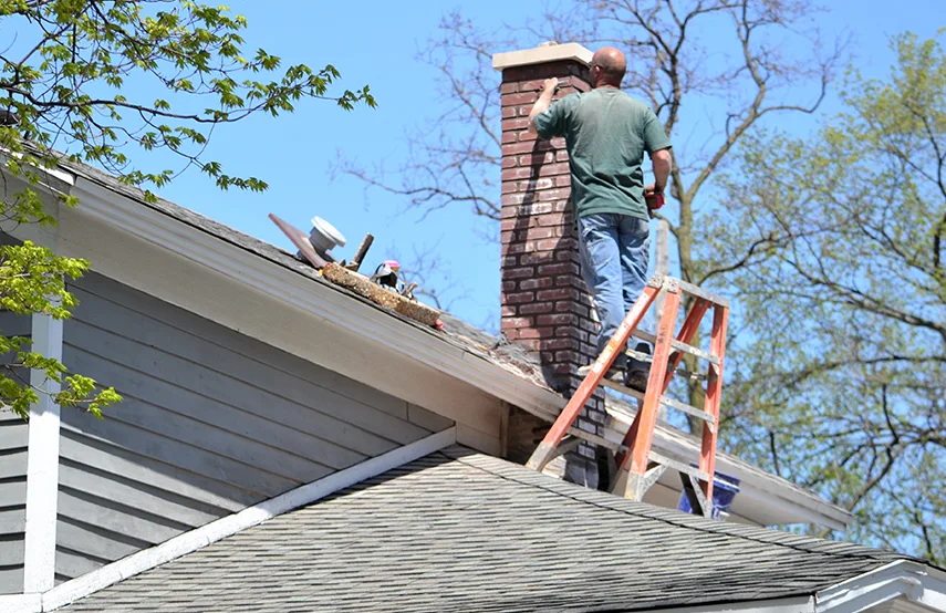 Chimney & Fireplace Inspections Services in Farmington Hills, MI
